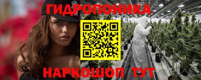 прущие крисы Дубна